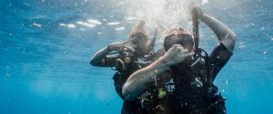 Plàncton Diving és el teu centre de busseig i snorkel a l’Ametlla de Mar (Tarragona). Oferim immersions guiades des de la costa o en vaixell, rutes de snorkel, immersions a les Illes Columbretes en veler, rutes de biocaiac i lloguer de material de submarinisme. Impartim cursos de submarinisme certificats per SSI per a tots els nivells: bateig de submarinisme, curs Open Water Diver SSI o cursos per treballar d’instructor/a de submarinisme entre d’altres. També organitzem campaments científics, tallers i activitats perquè els i les més petites aprenguin sobre el mar. El nostre equip d’oceanògrafes i biòlogues marines t’ensenyaran a reconèixer espècies de fauna i flora amb els nostres brífings bio per convertir-te en una experta submarinista.