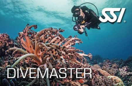 Divemaster ssi course plancton diving catalunya spain