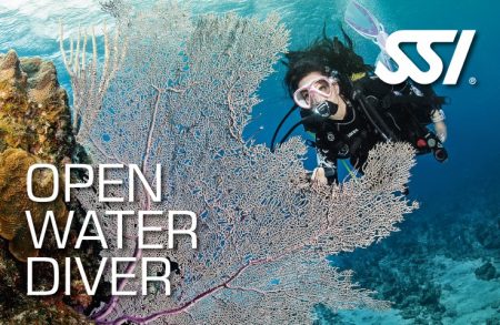 owd open water diver ssi course plancton diving ametlla de mar