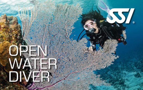 owd open water diver ssi course plancton diving ametlla de mar